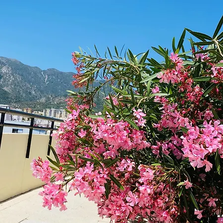 The First Line Of The Sea Appartement Marbellac